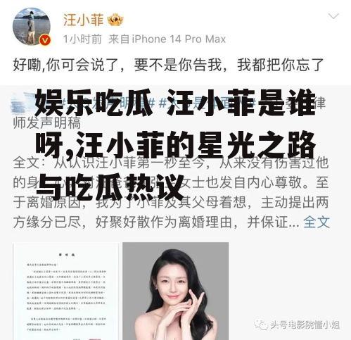 娱乐吃瓜 汪小菲是谁呀,汪小菲的星光之路与吃瓜热议