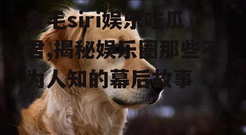金毛siri娱乐吃瓜君,揭秘娱乐圈那些不为人知的幕后故事