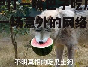 喂驴打一嘴巴子吃瓜娱乐,一场意外的网络狂欢