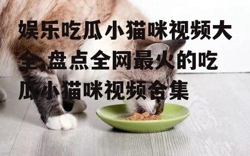 娱乐吃瓜小猫咪视频大全,盘点全网最火的吃瓜小猫咪视频合集