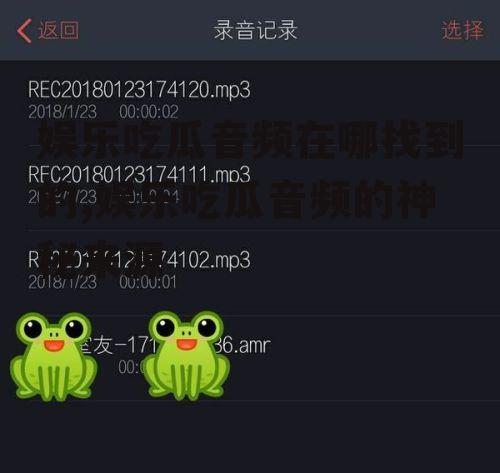 娱乐吃瓜音频在哪找到的,娱乐吃瓜音频的神秘来源