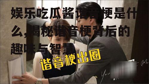 娱乐吃瓜酱谐音梗是什么,揭秘谐音梗背后的趣味与智慧