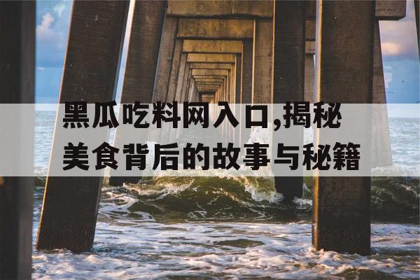 黑瓜吃料网入口,揭秘美食背后的故事与秘籍