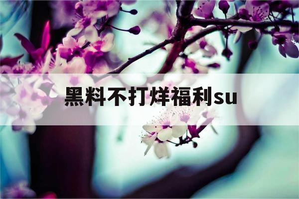 黑料不打烊福利su