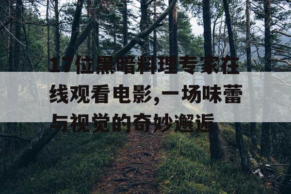 17位黑暗料理专家在线观看电影,一场味蕾与视觉的奇妙邂逅