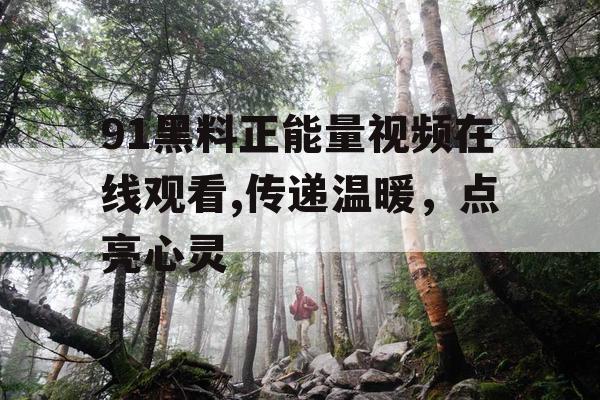 91黑料正能量视频在线观看,传递温暖，点亮心灵