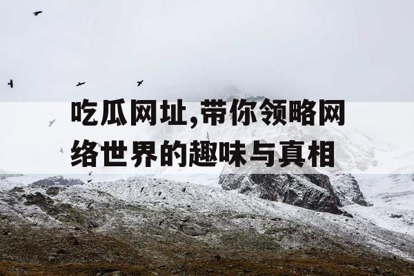 吃瓜网址,带你领略网络世界的趣味与真相
