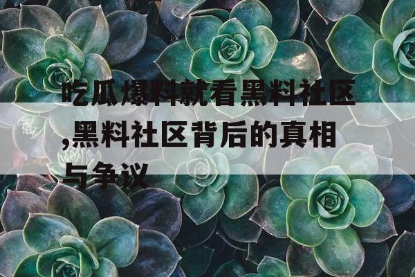 吃瓜爆料就看黑料社区,黑料社区背后的真相与争议