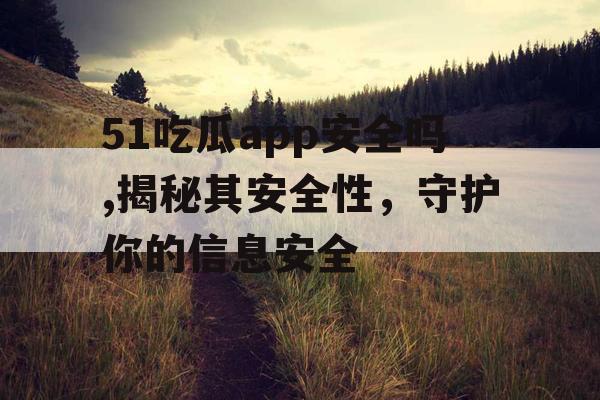 51吃瓜app安全吗,揭秘其安全性，守护你的信息安全