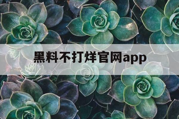 黑料不打烊官网app