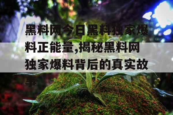 黑料网今日黑料独家爆料正能量,揭秘黑料网独家爆料背后的真实故事