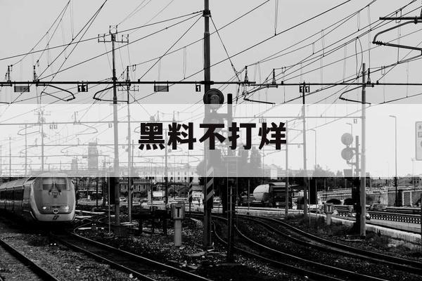 黑料不打烊