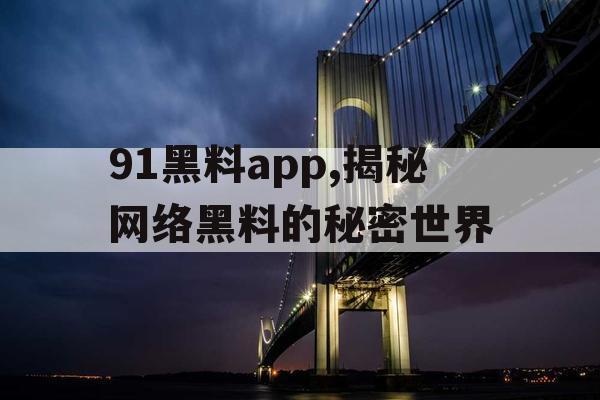 91黑料app,揭秘网络黑料的秘密世界