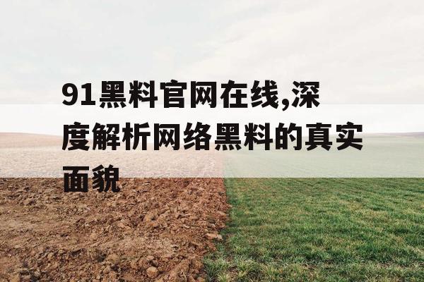 91黑料官网在线,深度解析网络黑料的真实面貌