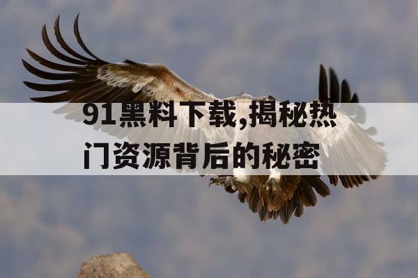 91黑料下载,揭秘热门资源背后的秘密