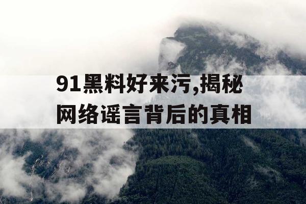 91黑料好来污,揭秘网络谣言背后的真相