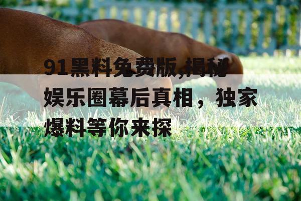 91黑料免费版,揭秘娱乐圈幕后真相，独家爆料等你来探