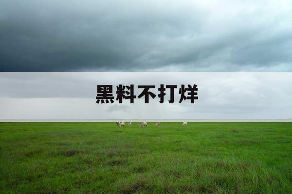 黑料不打烊
