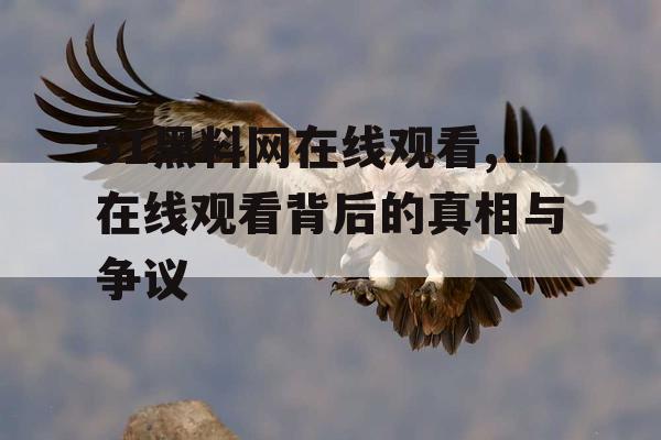 51黑料网在线观看,在线观看背后的真相与争议