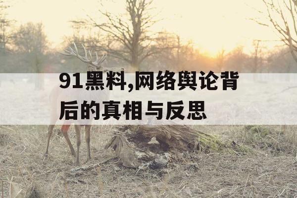 91黑料,网络舆论背后的真相与反思