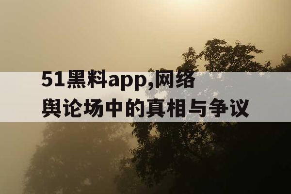 51黑料app,网络舆论场中的真相与争议