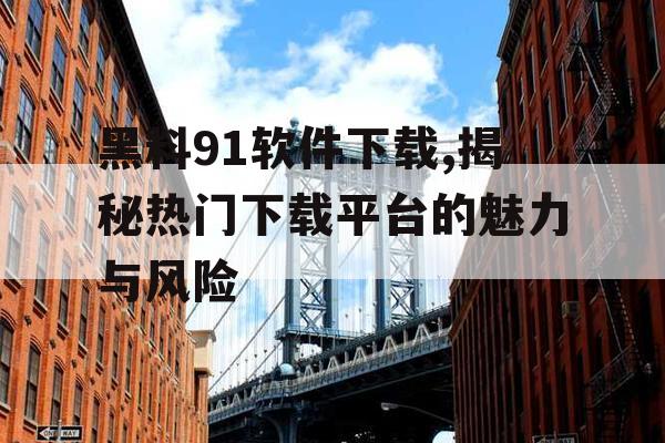 黑料91软件下载,揭秘热门下载平台的魅力与风险
