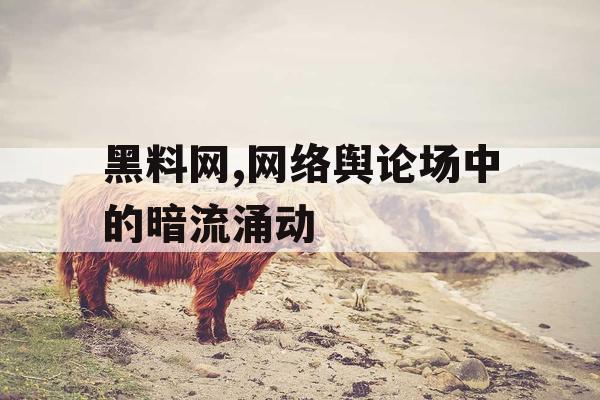 黑料网,网络舆论场中的暗流涌动