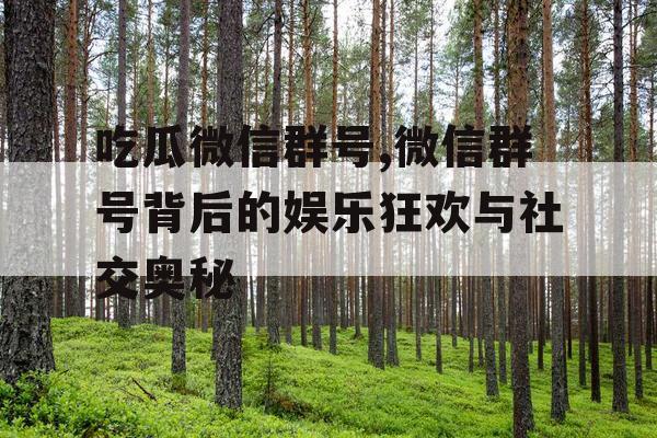 吃瓜微信群号,微信群号背后的娱乐狂欢与社交奥秘