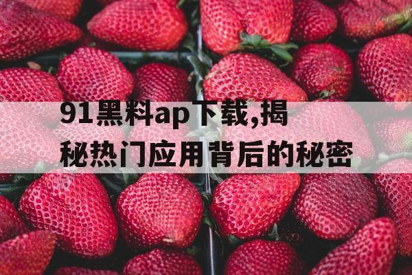 91黑料ap下载,揭秘热门应用背后的秘密
