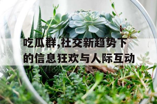 吃瓜群,社交新趋势下的信息狂欢与人际互动