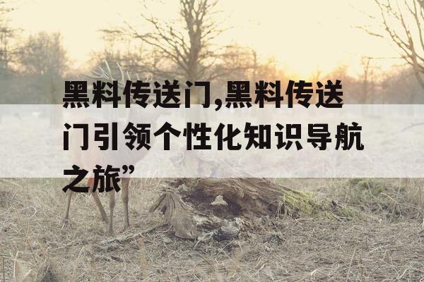 黑料传送门,黑料传送门引领个性化知识导航之旅”