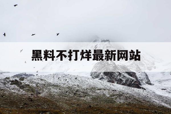 黑料不打烊最新网站