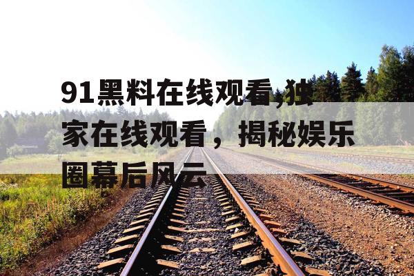 91黑料在线观看,独家在线观看，揭秘娱乐圈幕后风云