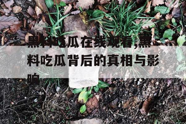 黑料吃瓜在线观看,黑料吃瓜背后的真相与影响