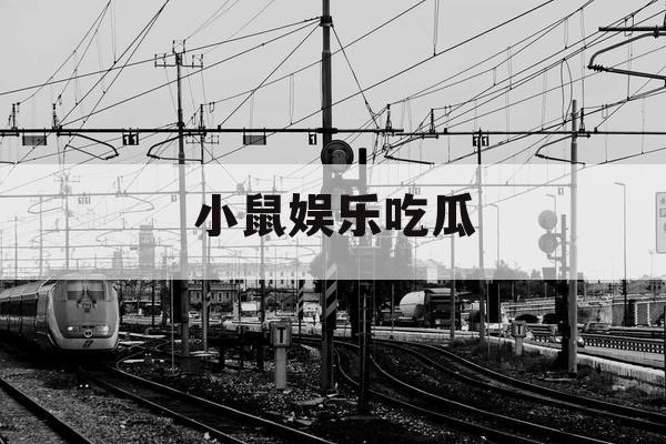 小鼠娱乐吃瓜