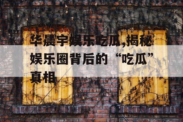 华晨宇娱乐吃瓜,揭秘娱乐圈背后的“吃瓜”真相