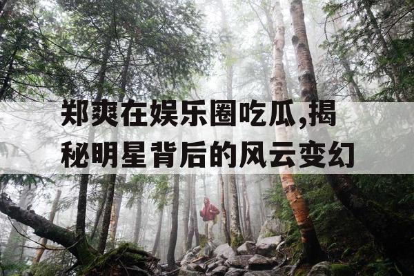 郑爽在娱乐圈吃瓜,揭秘明星背后的风云变幻