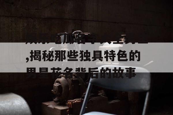 娱乐吃瓜名字大全男生,揭秘那些独具特色的男星花名背后的故事