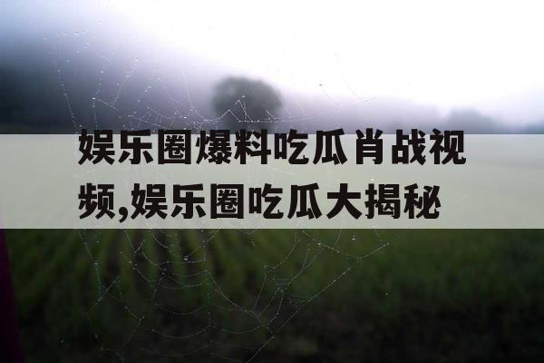 娱乐圈爆料吃瓜肖战视频,娱乐圈吃瓜大揭秘