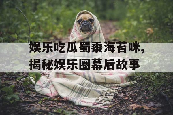娱乐吃瓜蜀黍海苔咪,揭秘娱乐圈幕后故事