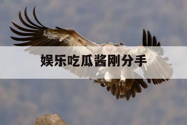 娱乐吃瓜酱刚分手