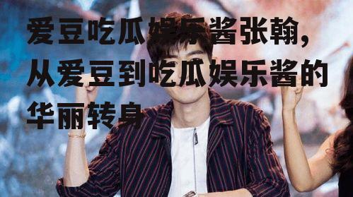 爱豆吃瓜娱乐酱张翰,从爱豆到吃瓜娱乐酱的华丽转身