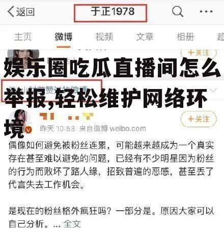 娱乐圈吃瓜直播间怎么举报,轻松维护网络环境