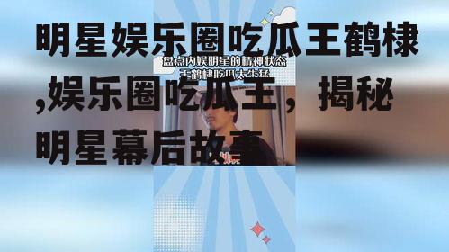 明星娱乐圈吃瓜王鹤棣,娱乐圈吃瓜王，揭秘明星幕后故事
