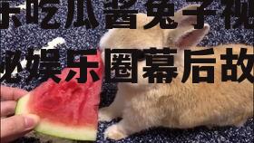 娱乐吃瓜酱兔子视频,揭秘娱乐圈幕后故事