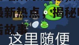 吃瓜喵娱乐速报,娱乐圈最新热点，揭秘明星幕后故事