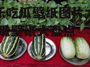 娱乐吃瓜壁纸图片大全,吃瓜壁纸大盘点